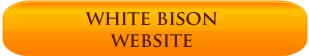 Blog Button
